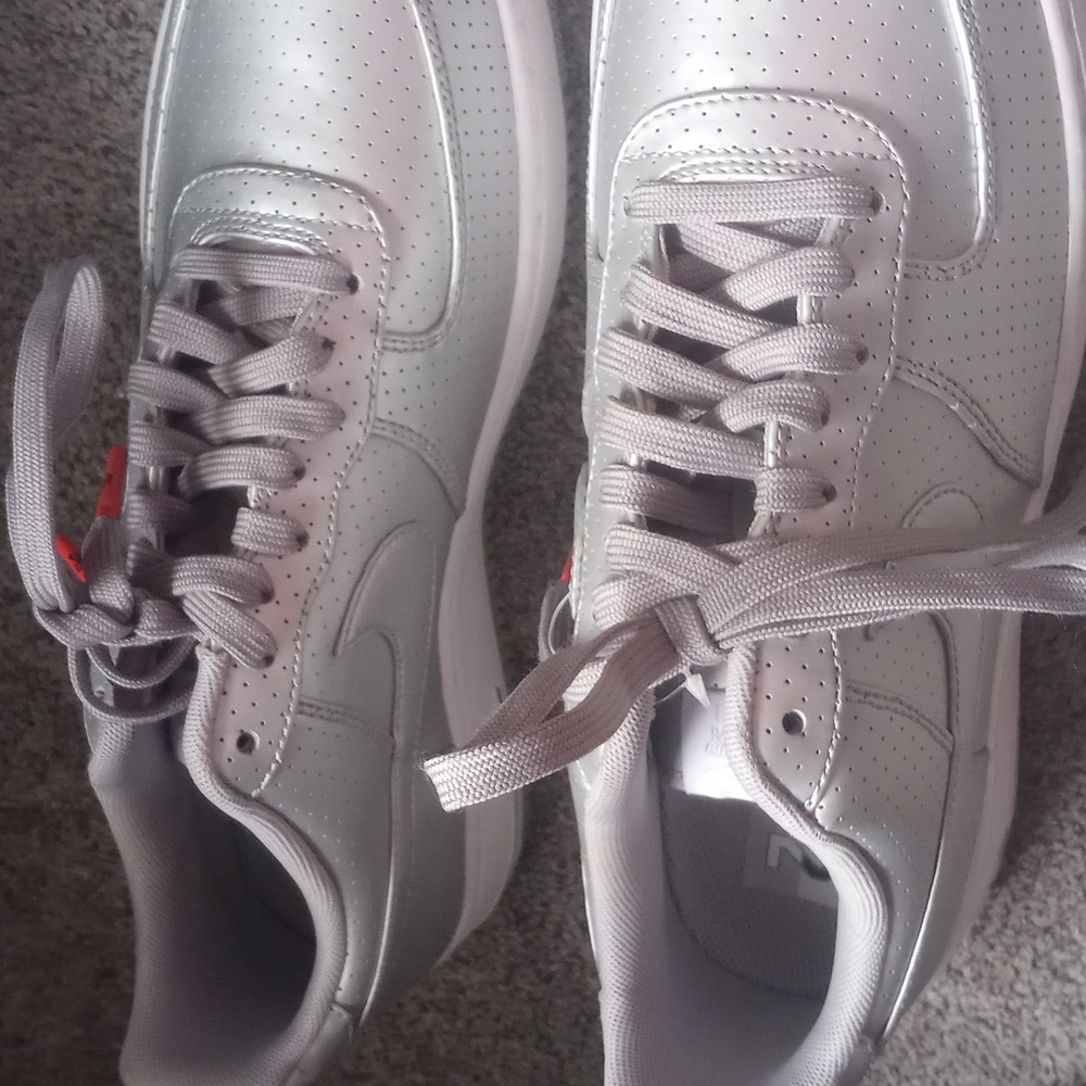 Men Nike Low silver
